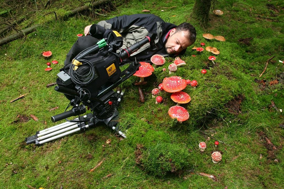 La Planète verte : Photo