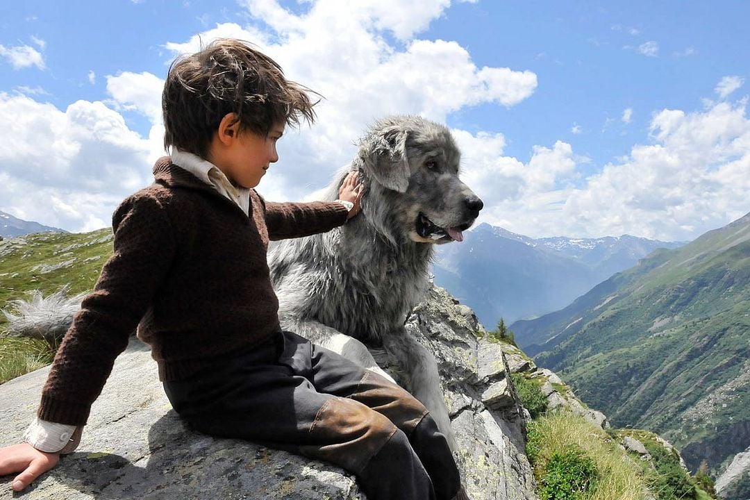 Belle et Sébastien : Photo Félix Bossuet