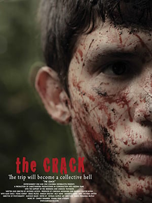 The Crack : Affiche