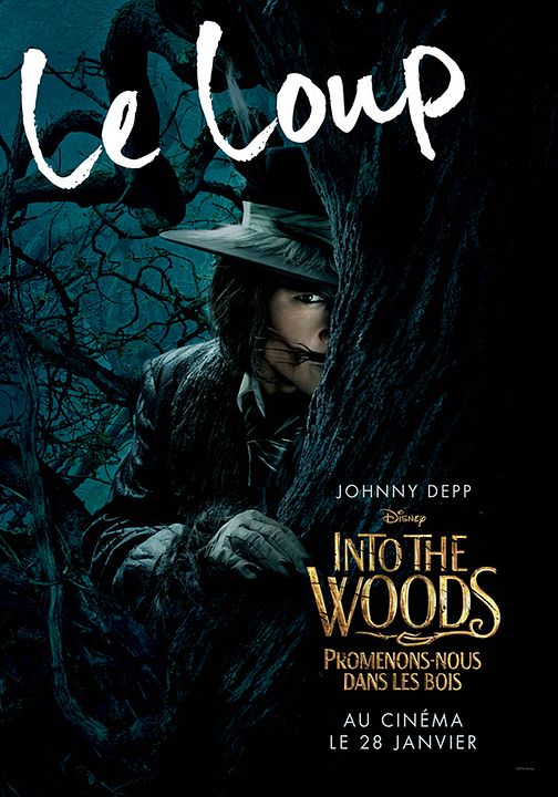 Into the Woods, Promenons-nous dans les bois - Sortie le 28 janvier 2015