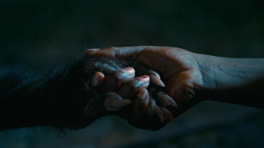Les Bonnes Manières (2018)