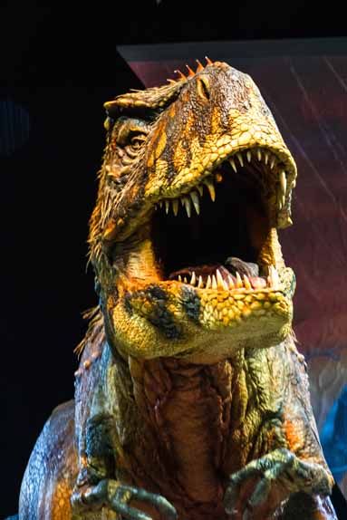La Marche Des Dinosaures Le Spectacle Live De Retour A Paris Allocine
