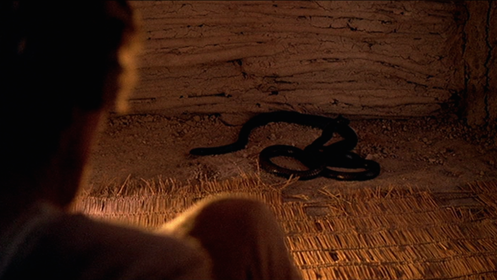 Le plus diabolique - le serpent dans "La Dernière tentation du Christ"