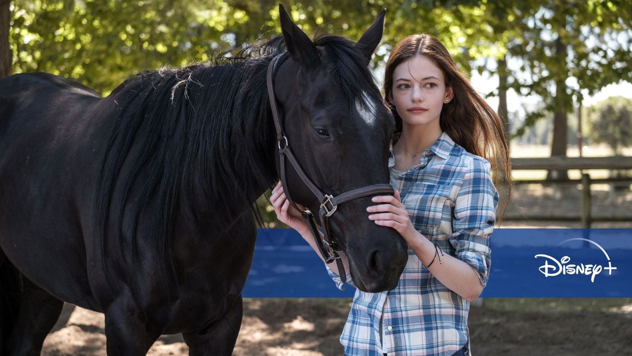 Zoe Et Raven Saison 4 Sortie Nouveautés Disney+ du 27 novembre au 3 décembre : Black Beauty, Noëlle,  l'épisode 5 de The Mandalorian... - News Séries - AlloCiné