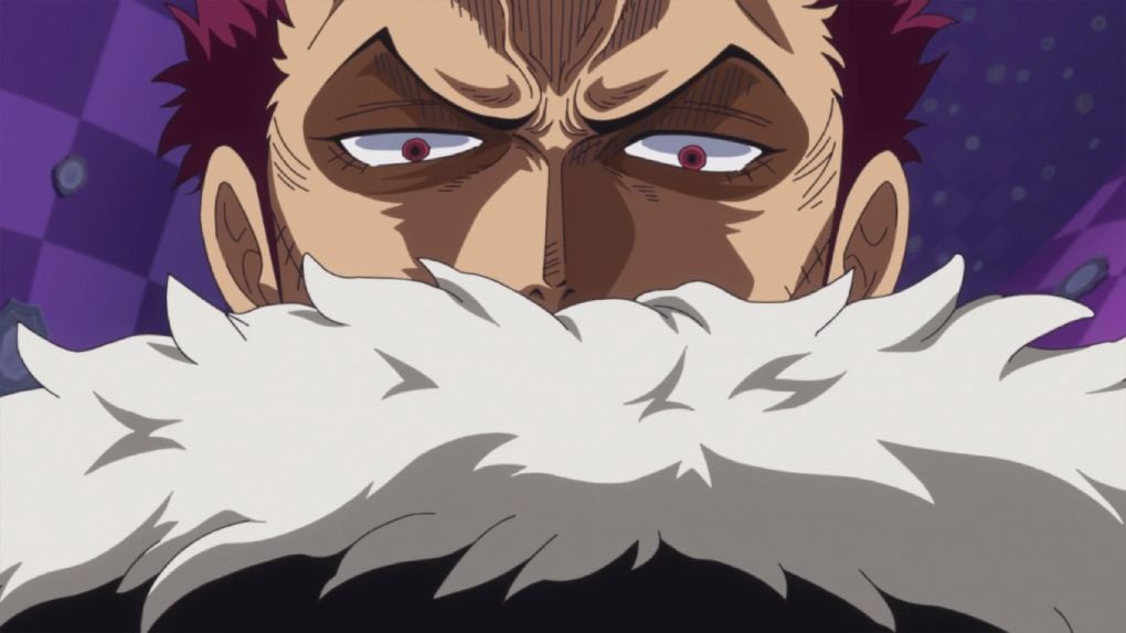 Adn One Piece Arc 14
