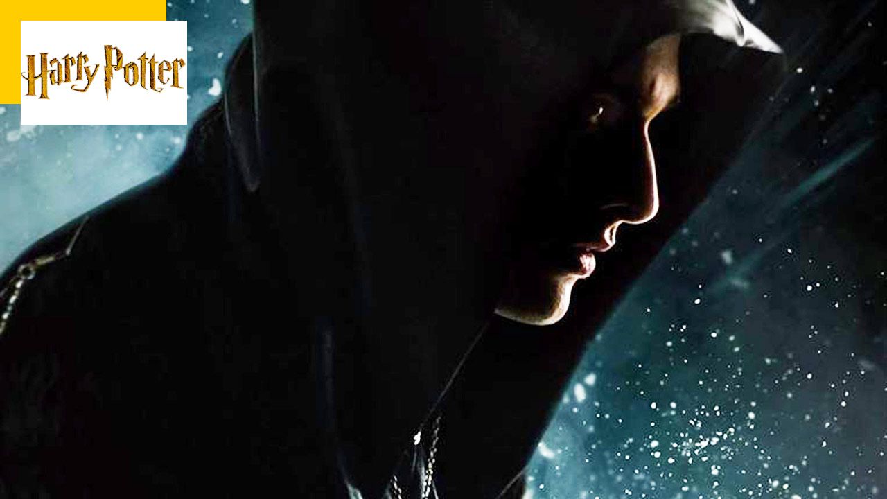 The House Of Gaunt Vf Harry Potter : le fan film sur les origines de Voldemort est enfin  disponible - Actus Ciné - AlloCiné
