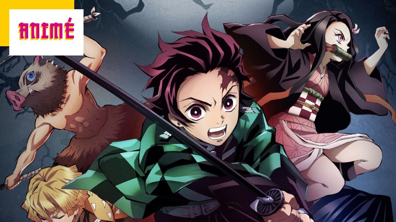 Demon Slayer A Partir De Quel Age