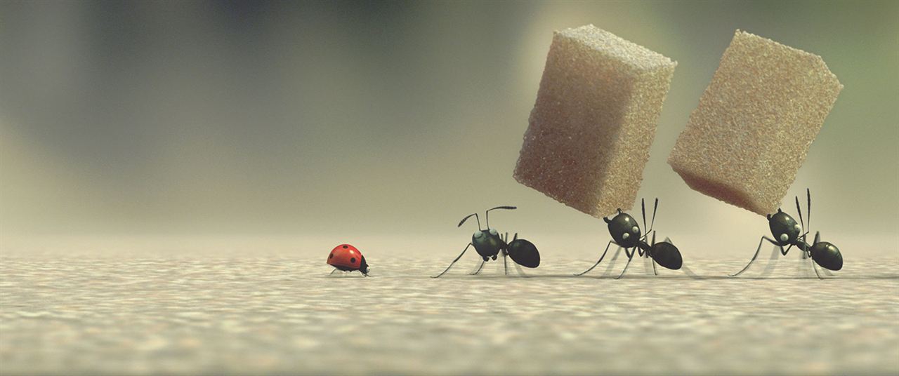 Minuscule - La vallée des fourmis perdues : Photo