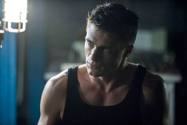 Arrow : Photo Colton Haynes