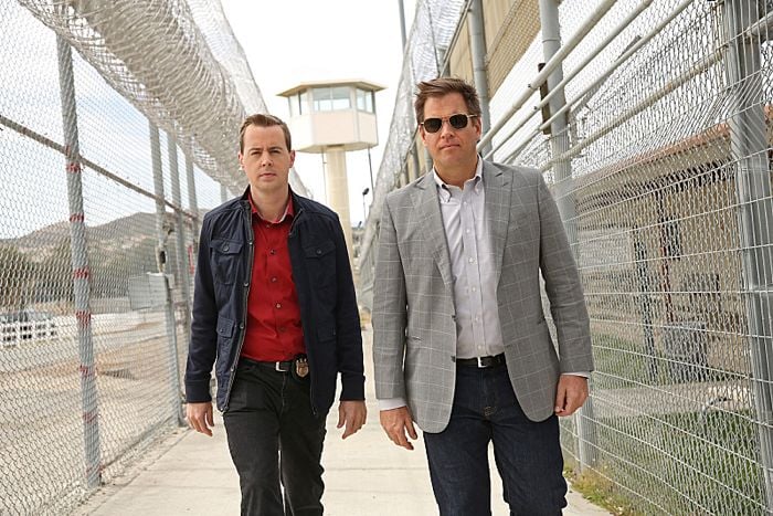 NCIS : Enquêtes spéciales : Photo Sean Murray, Michael Weatherly