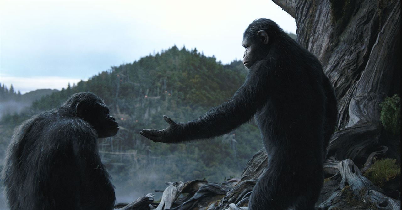 La Planète des singes : l'affrontement : Photo