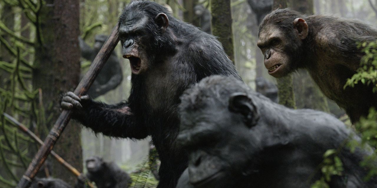 La Planète des singes : l'affrontement : Photo