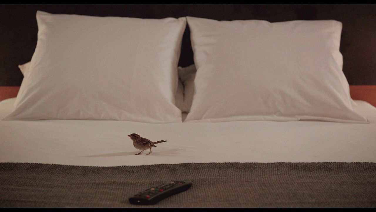 Bird People : Photo