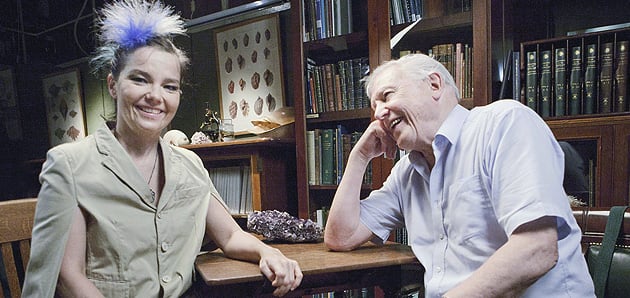 When Björk met Attenborough: The Nature of Music : Photo