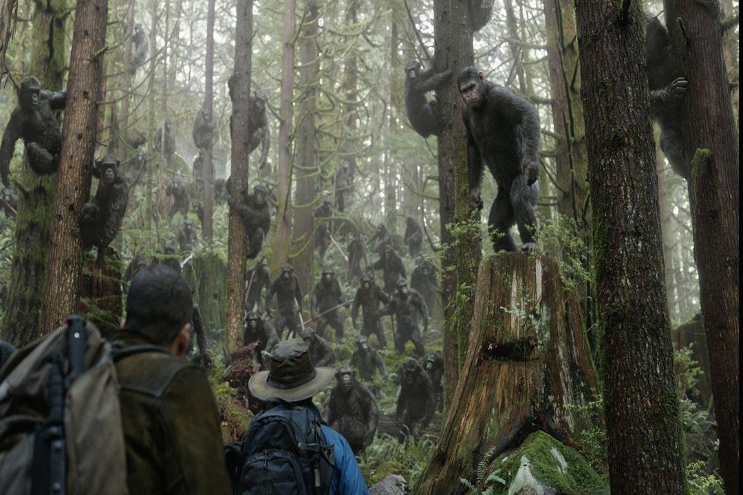 La Planète des singes : l'affrontement : Photo