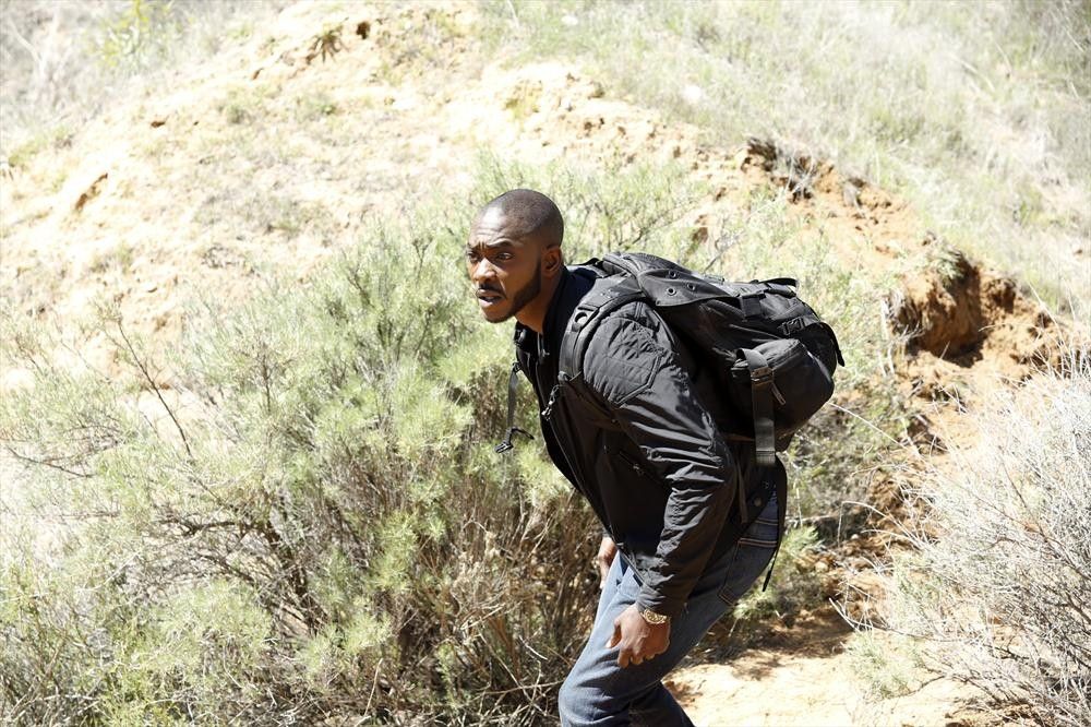 Marvel : Les Agents du S.H.I.E.L.D. : Photo B.J. Britt