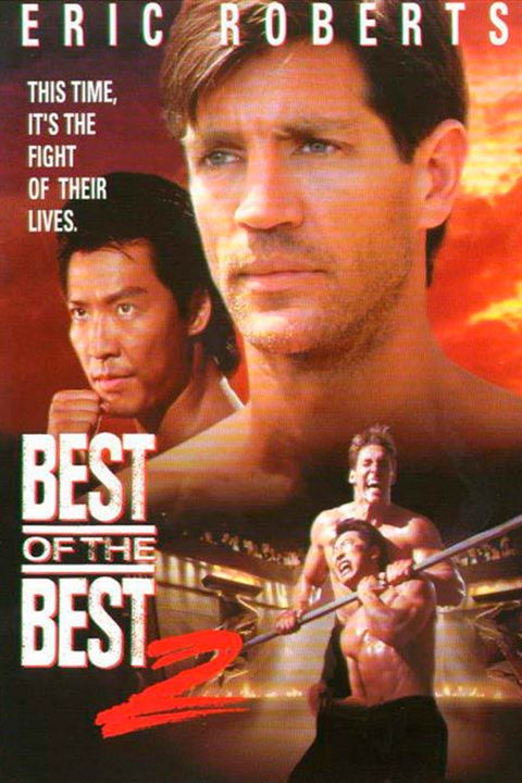 Best of the Best 2 : Affiche