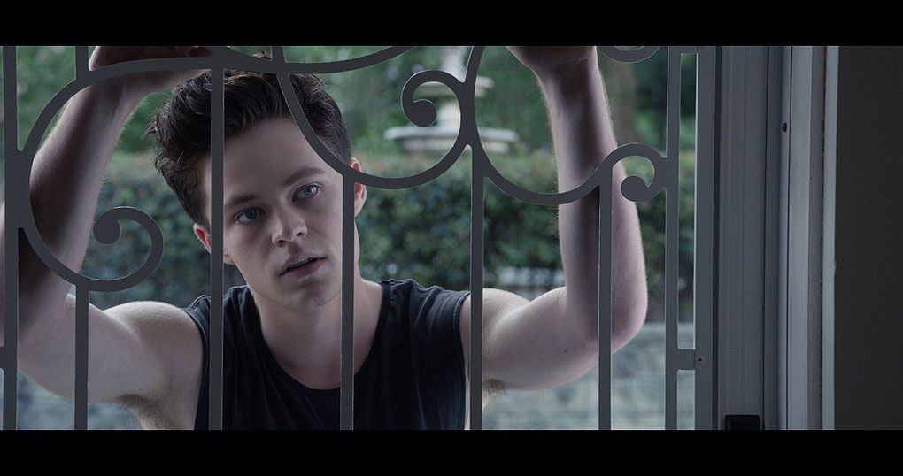 My Mistress : Photo Harrison Gilbertson