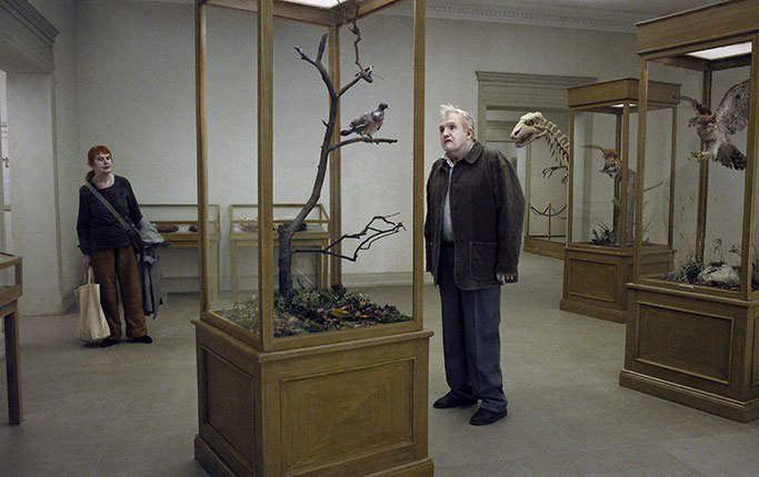 Un pigeon perché sur une branche philosophait sur l’existence : Photo Nisse Vestblom