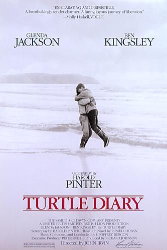 Turtle Diary : Affiche