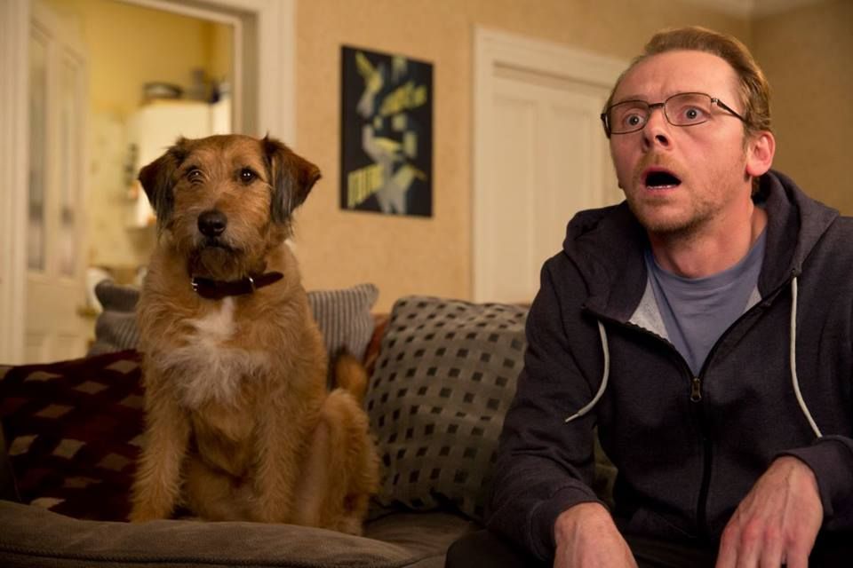 Absolutely Anything : Photo