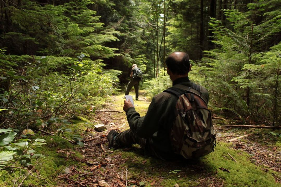 Au cœur de la forêt du Sasquatch : Photo