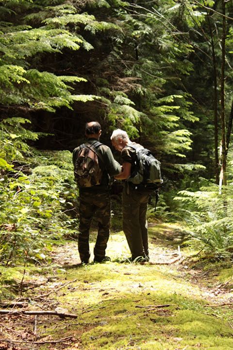 Au cœur de la forêt du Sasquatch : Photo