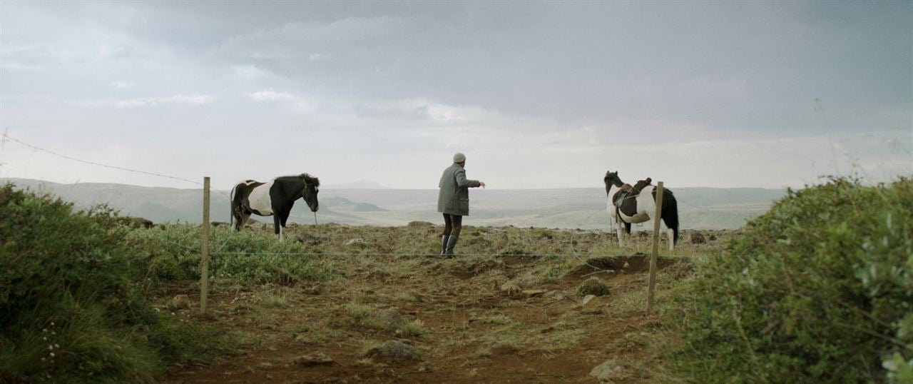 Des chevaux et des hommes : Photo Kjartan Ragnarsson