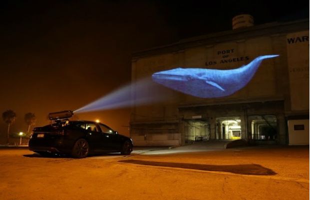 Racing Extinction : Photo