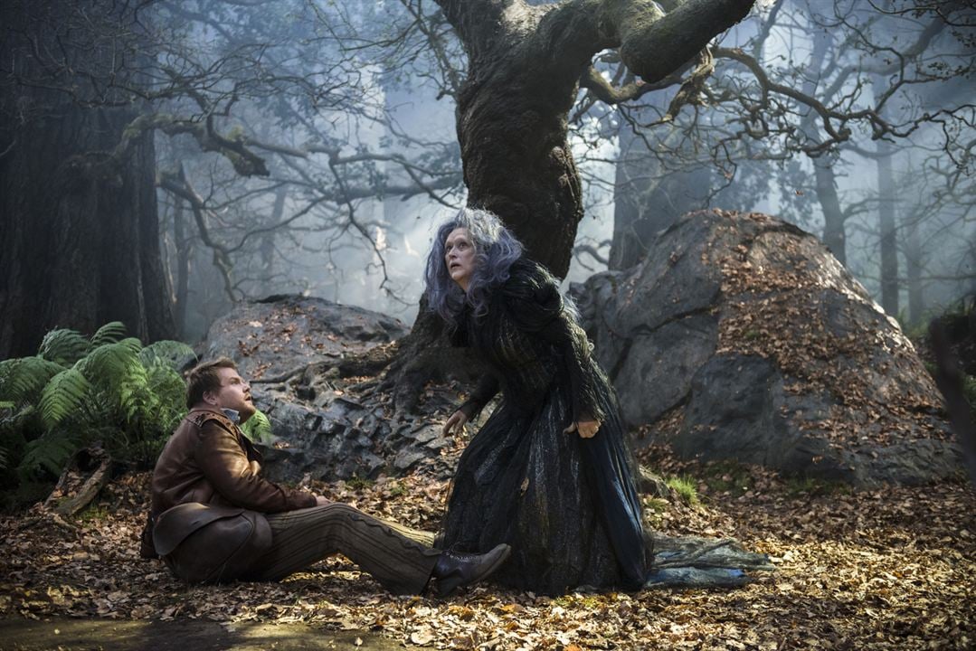 Into the Woods, Promenons-nous dans les bois : Photo James Corden, Meryl Streep