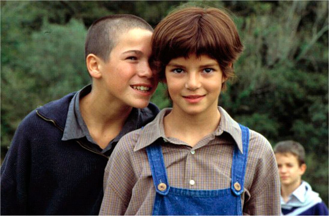 El viaje de Carol : Photo