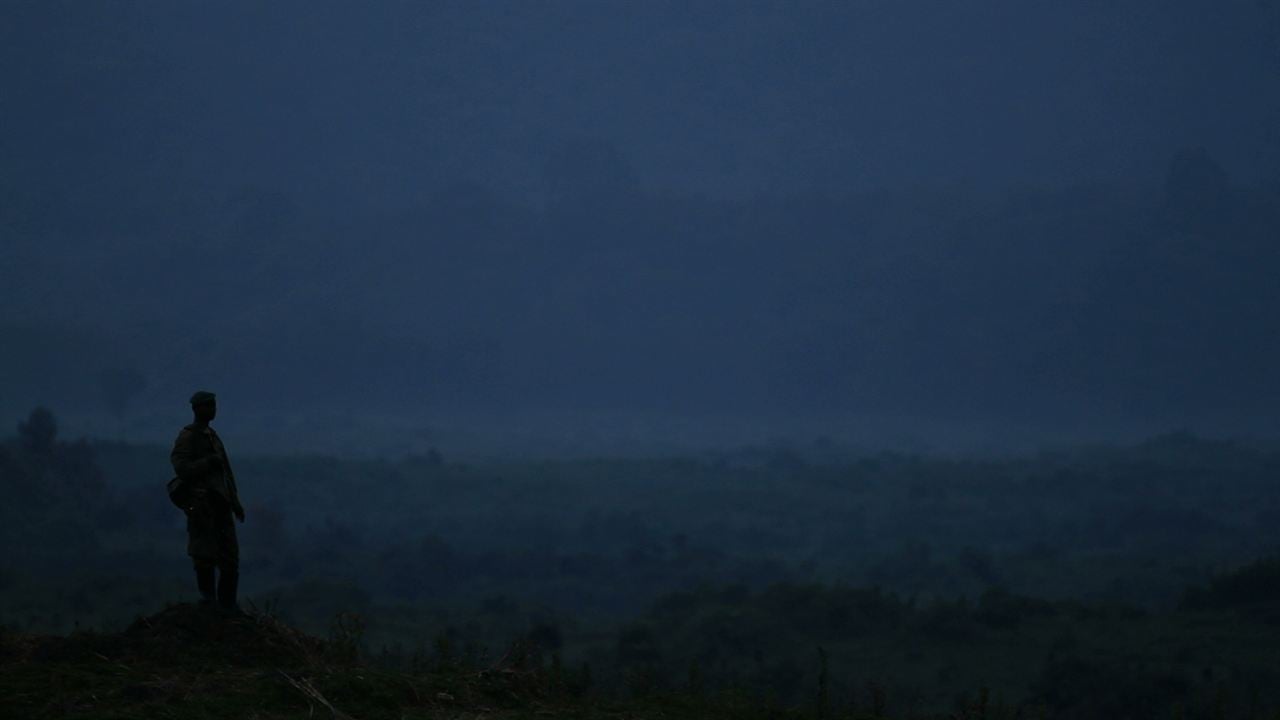 Virunga : Photo