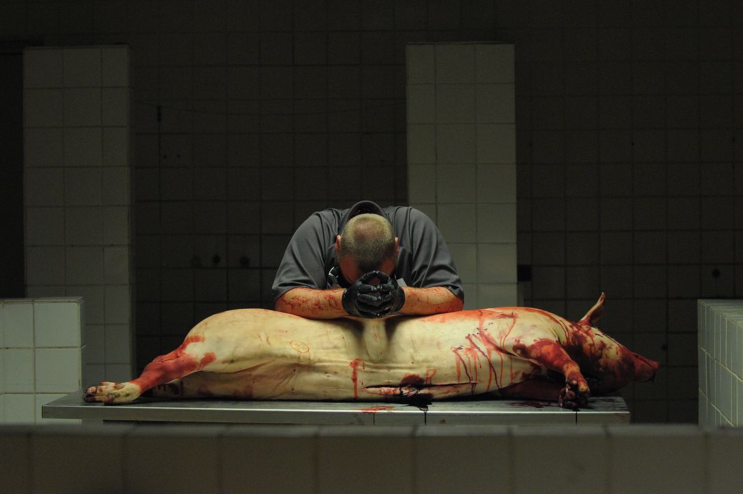 Redirected : Photo