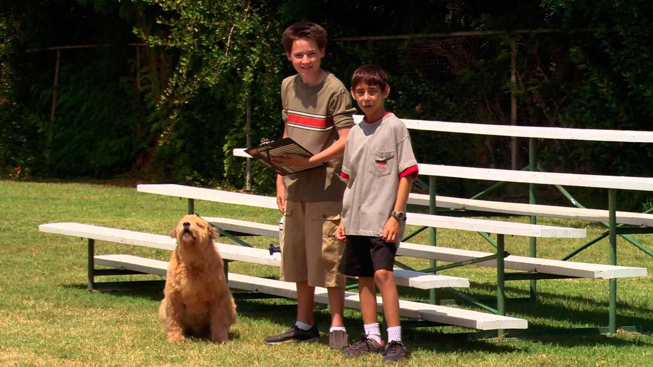 Soccer Dog 2 : Championnat d'Europe : Photo