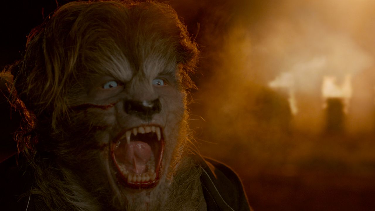 Wolves : Photo