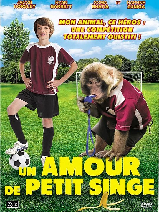 Un amour de petit singe : Affiche
