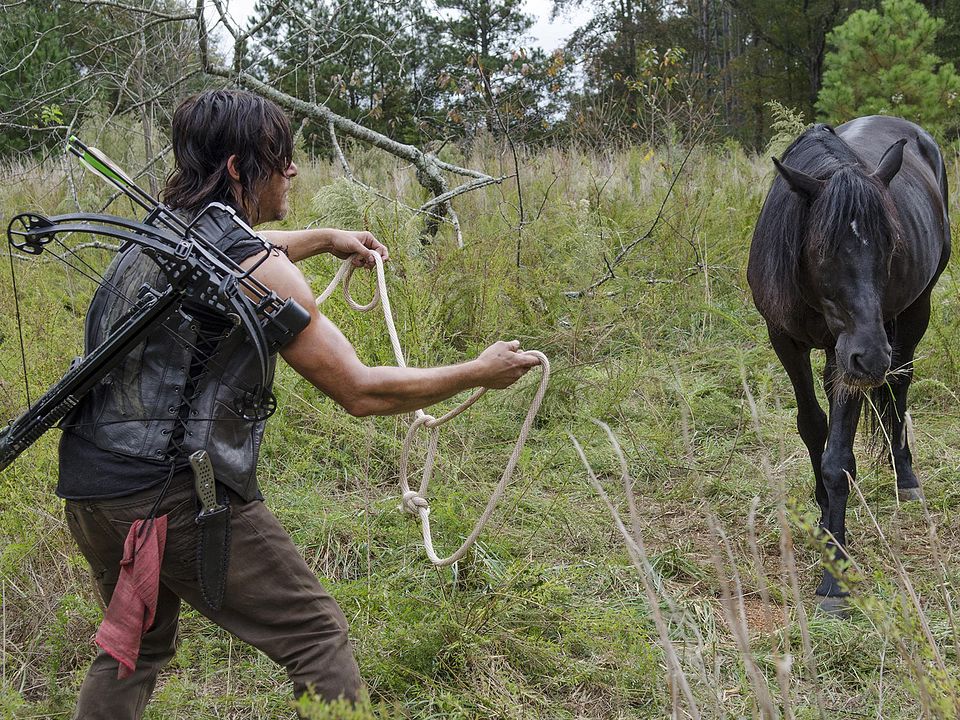 The Walking Dead : Photo Norman Reedus