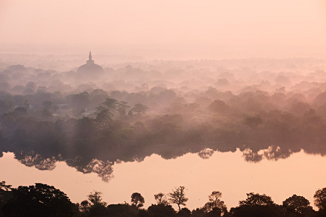 Au Royaume des Singes : Photo