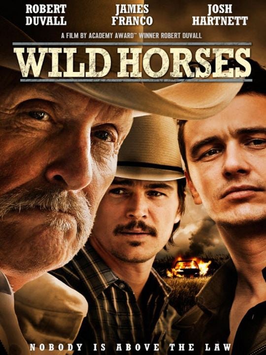 Wild Horses : Affiche