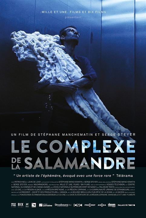 Le complexe de la salamandre : Affiche