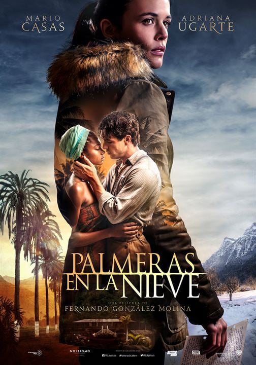 Palmiers dans la neige : Affiche