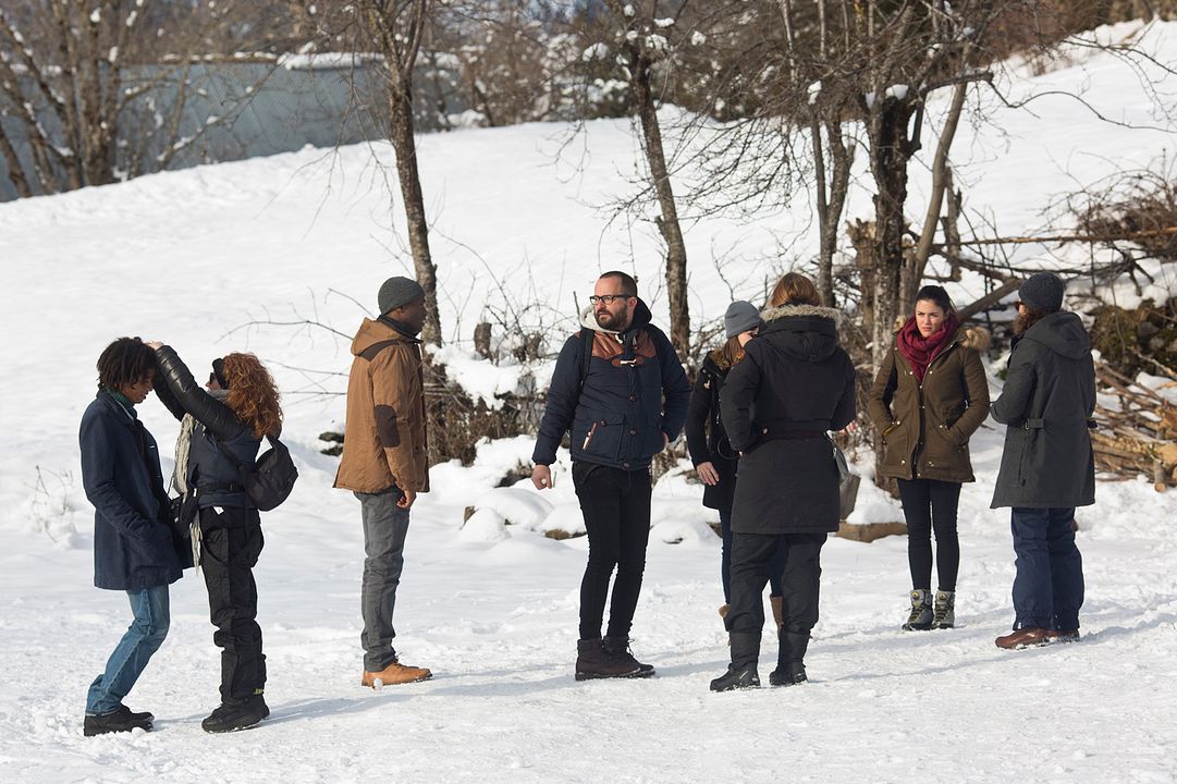 Palmiers dans la neige : Photo