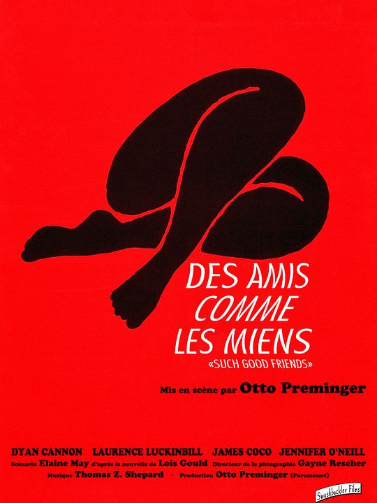 Des Amis comme les miens : Affiche