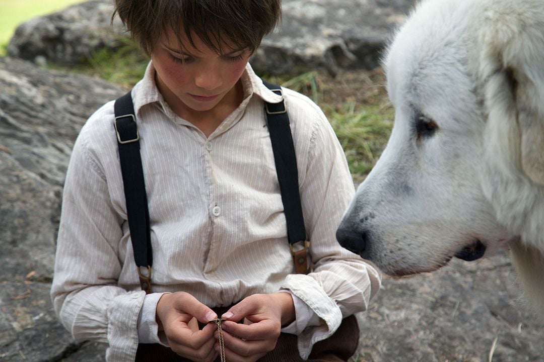 Belle et Sébastien : L'aventure continue : Photo Félix Bossuet