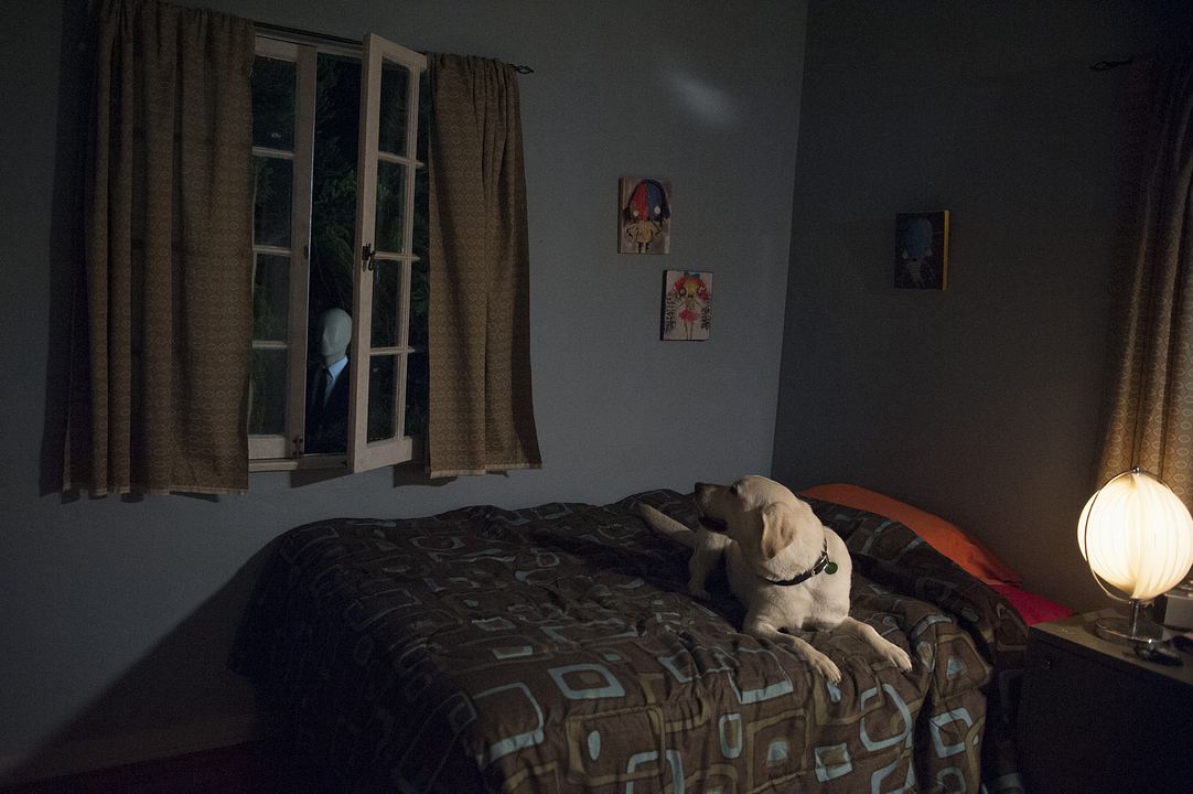 Always Watching: A Marble Hornets Story : Photo