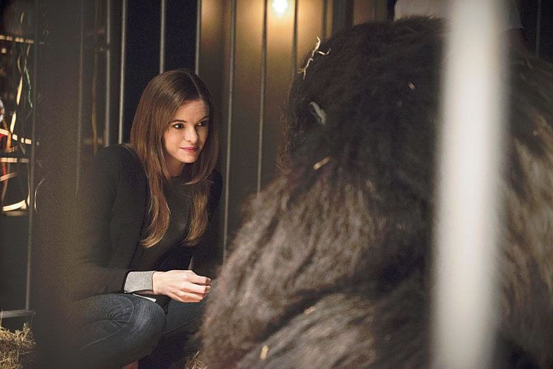 Flash (2014) : Photo Danielle Panabaker