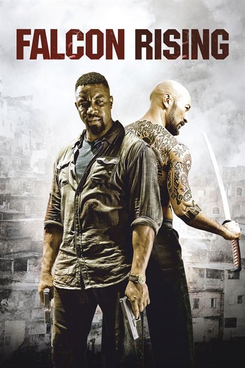 Falcon Rising : Affiche