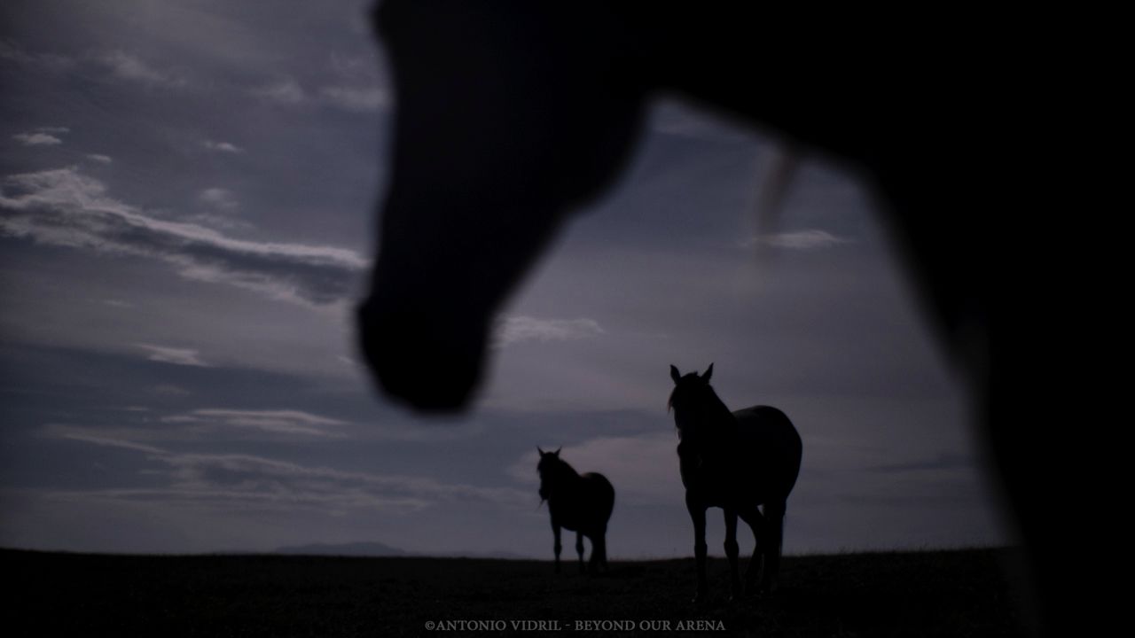 Beyond our arena : Photo