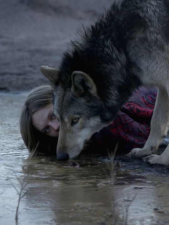 Wild : Affiche