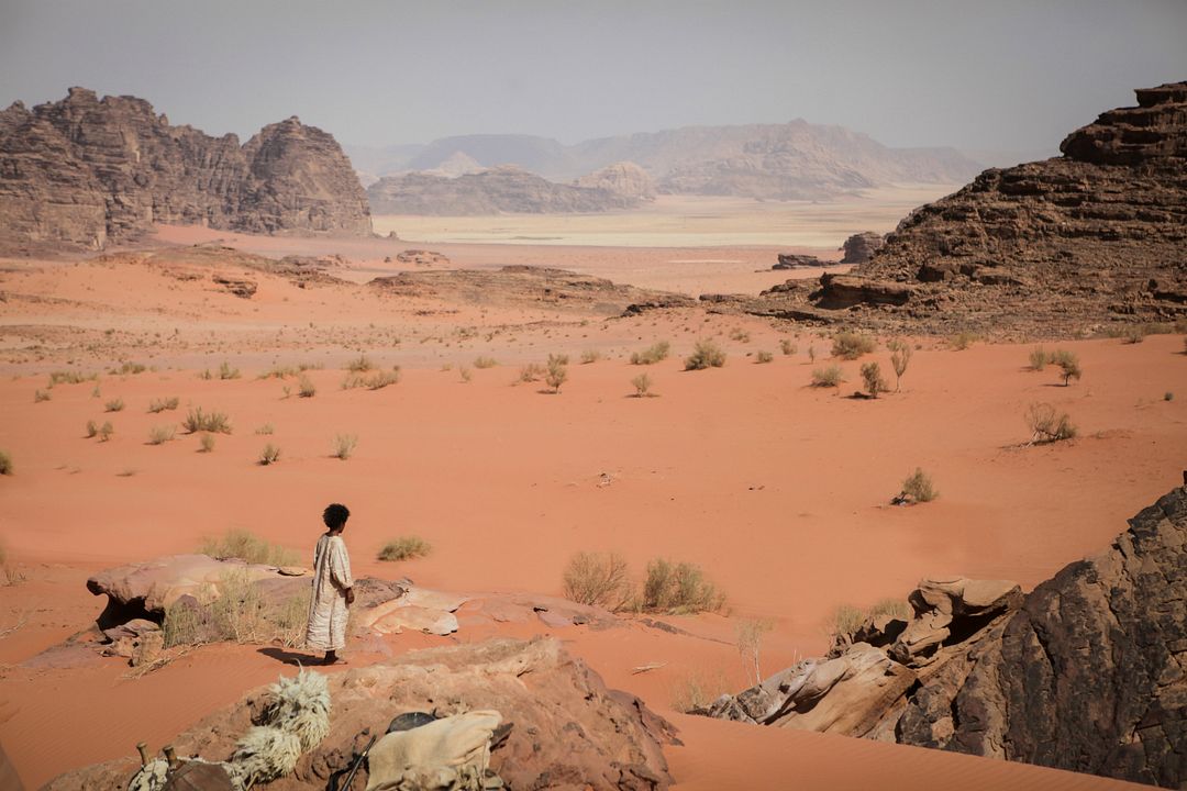 Theeb - la naissance d'un chef : Photo